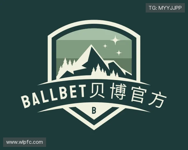 介绍bb平台艾弗森
